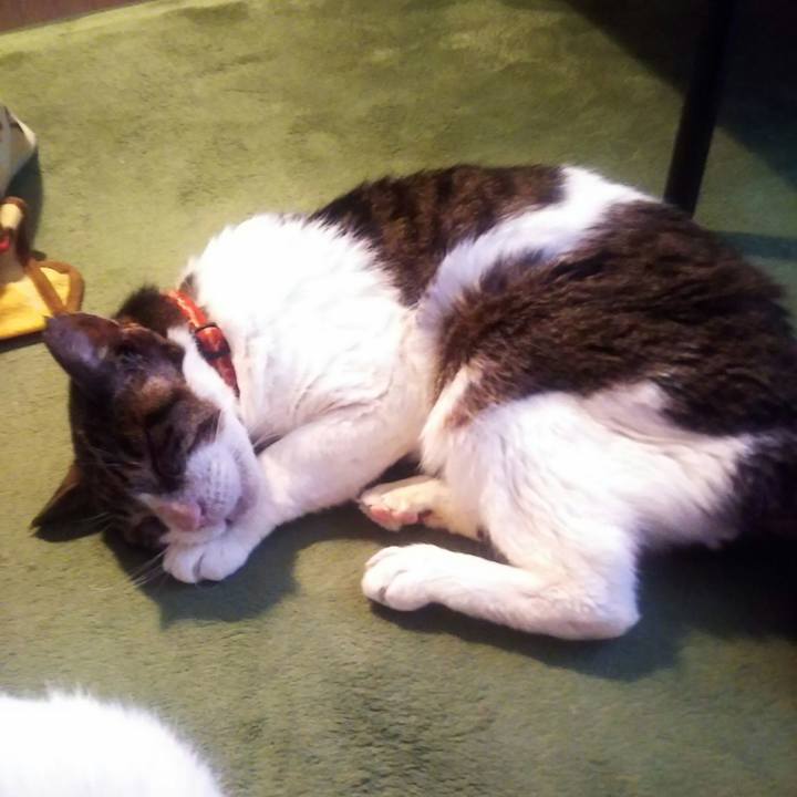 0c6ccbbc fda9 4933 a2ff a27142b28034 1588217007737