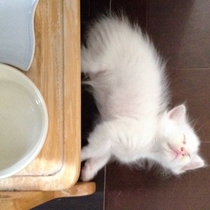 0c6d0a40 1f88 4bd8 bcdc 51ed4dfb05f7 1556622234107