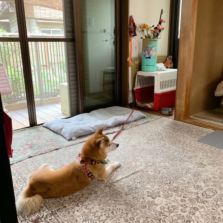 0c6d408d b21d 48b9 a30a 0ee6c3d40102 1593340472689