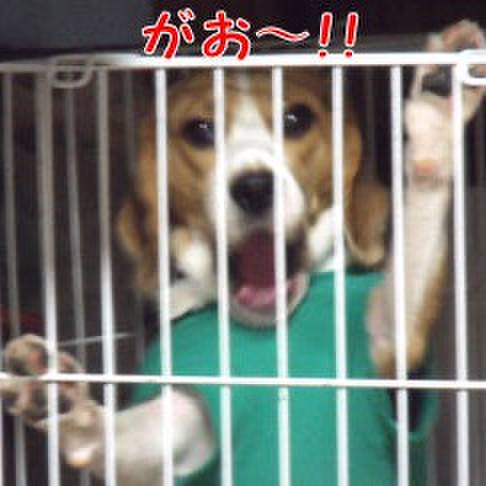 0c6d65ff e89b 402a 8446 835db26a306b 1701131016224