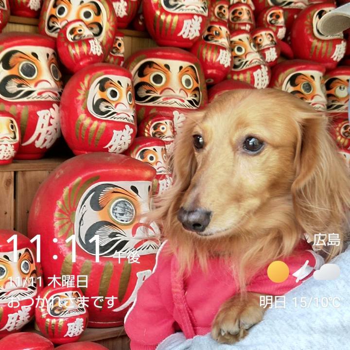 0c6d689a 18a1 4b88 9cd1 1eb0ce2d76c6 1636640420059