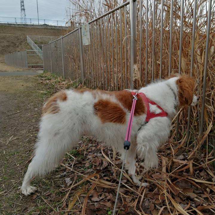 0c6d7ae6 4685 4efb b534 68fba2929be1 1611649535506