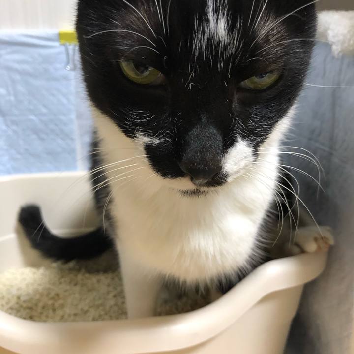 0c6d8cef 056d 4c05 a536 d7e9218eb144 1569032184402