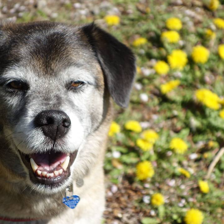 0c6dab16 03f2 4ee1 8663 e3a01afd4178 1665279495621