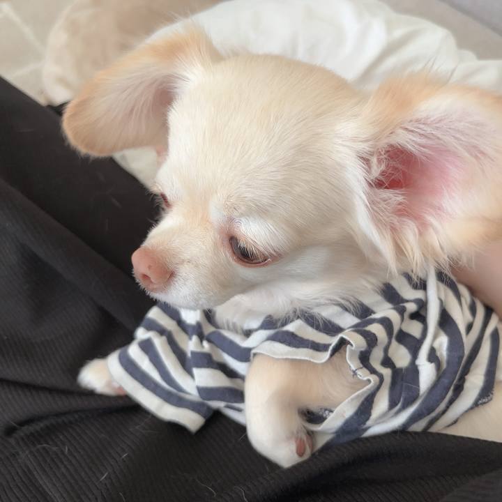 0c6db176 da64 4094 ae5d f5cbaac8b5df 1727601177715