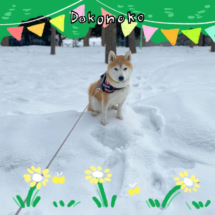 0c6dd026 312a 4b79 88d4 440f74b7616d 1711194823168