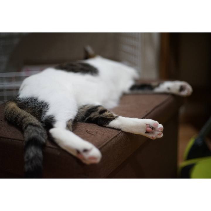 0c6de547 6b0e 4a32 a649 e43a05d523d8 1524527186006