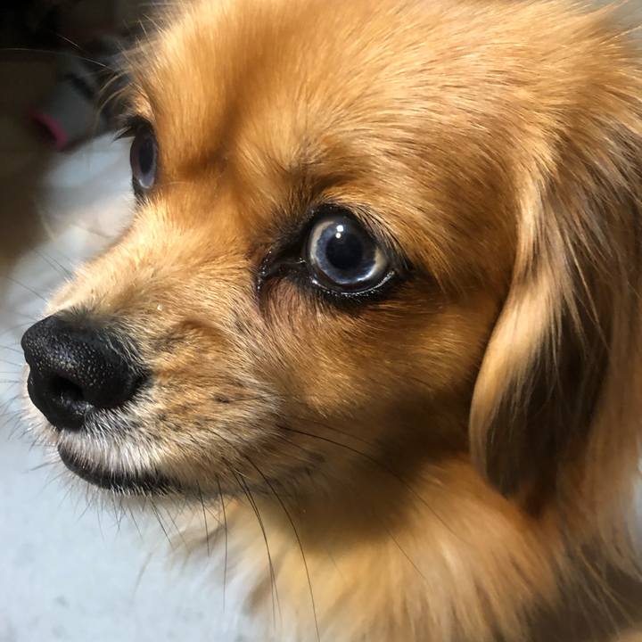 0c6e35af d1ef 49c2 b48d c118e7d673b0 1545691550154