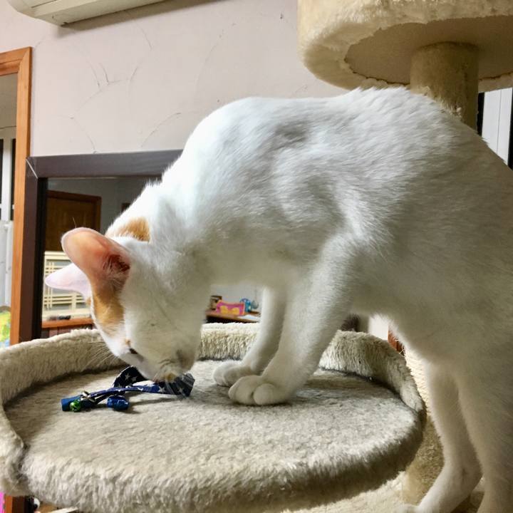 0c6e3d9e 0d33 4786 8846 a64223c366ee 1526301758147