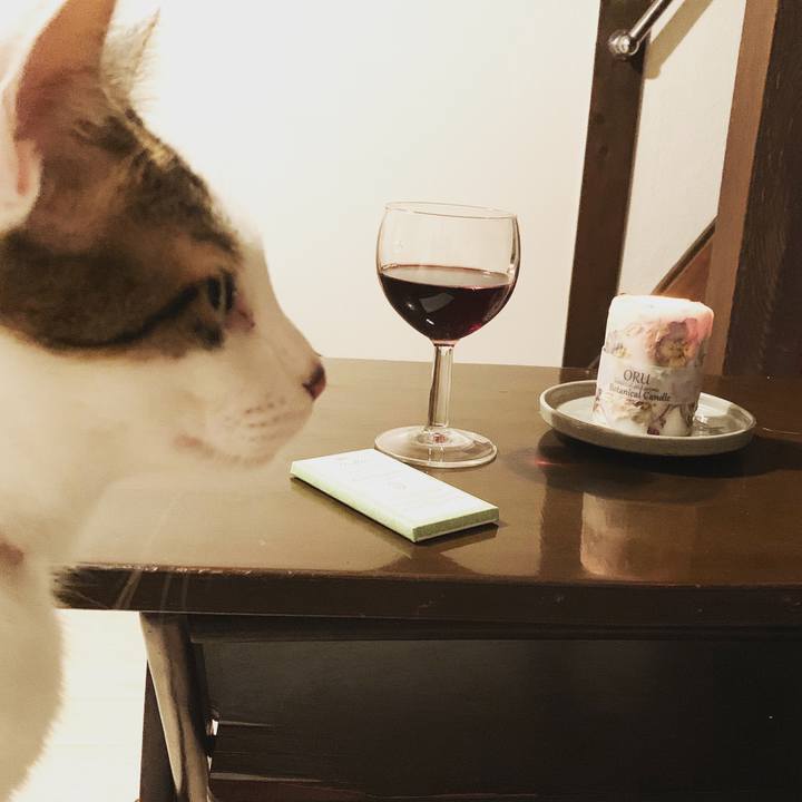 0c6e5274 5800 4a2a a30b 1bf9cb86c2bf 1589207832207