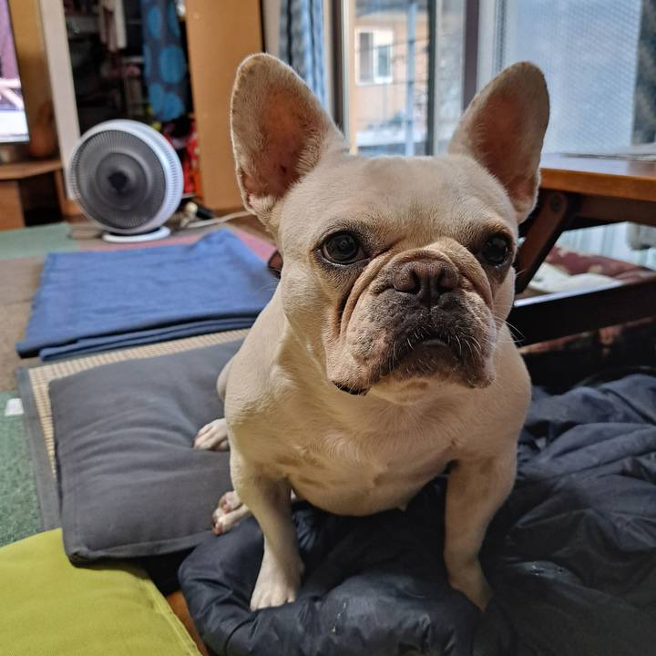 0c6e928f 8aaa 48f9 845f d87fb80c1be5 1694989581832