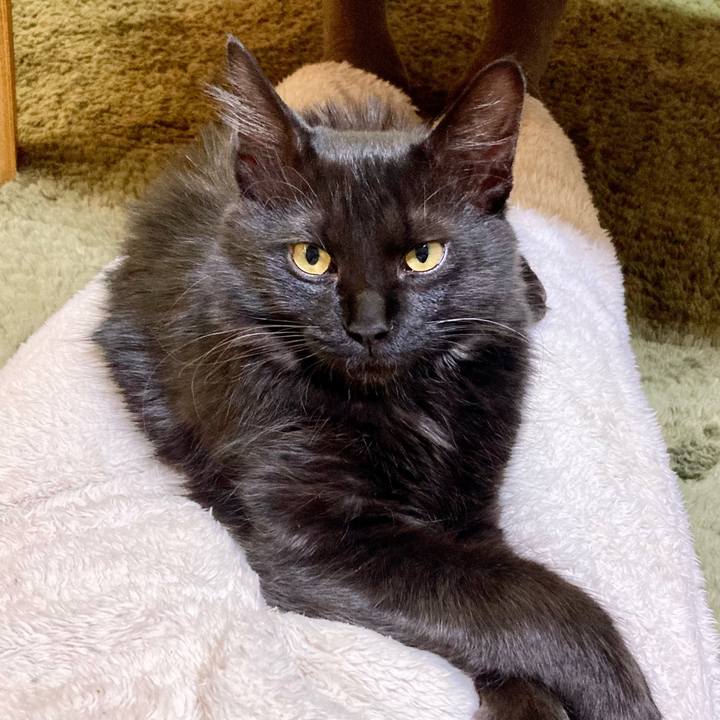 0c6eb76e 79a1 4ef3 87a4 724fa0e2ed59 1707294963261