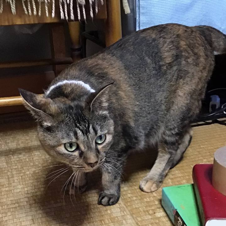 0c6eefe8 611e 47b8 a8ba 9daf5d5f0225 1755602103136