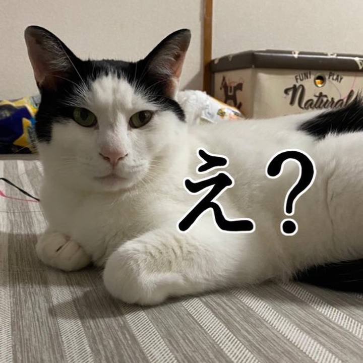 0c6effd0 6f43 4801 9eab c3eb3f1085a4 1657457976400