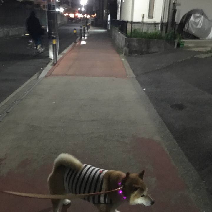 0c6f07f0 1a41 4320 b397 70236ab6aaf9 1563708649141