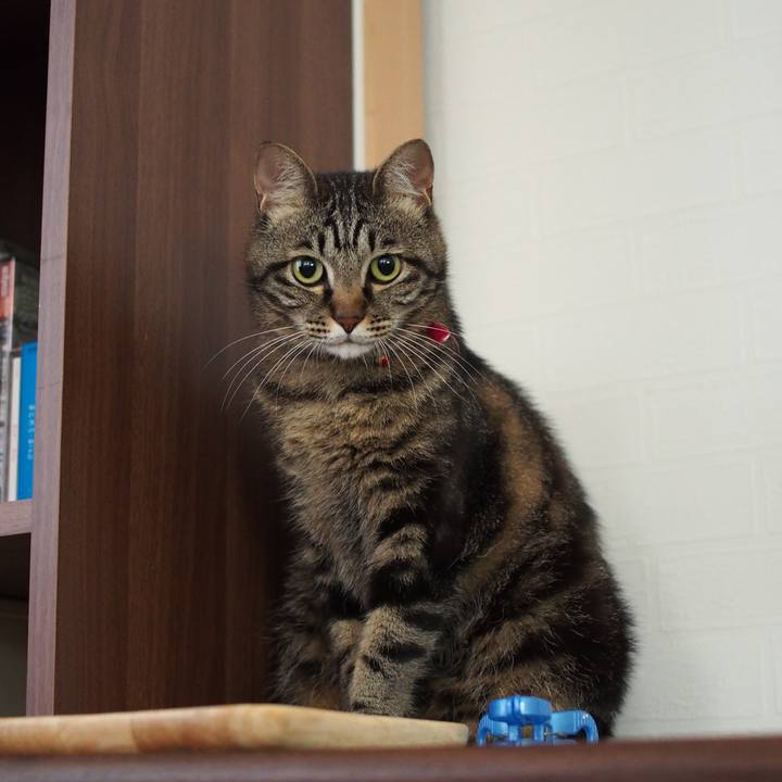 0c6f46a3 b8bc 476e a40a 9451b4297ec9 1594639465680