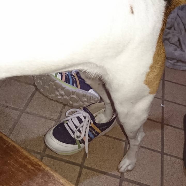 0c6f635a 92fc 451f 9b81 d3c8622185d0 1571044526298