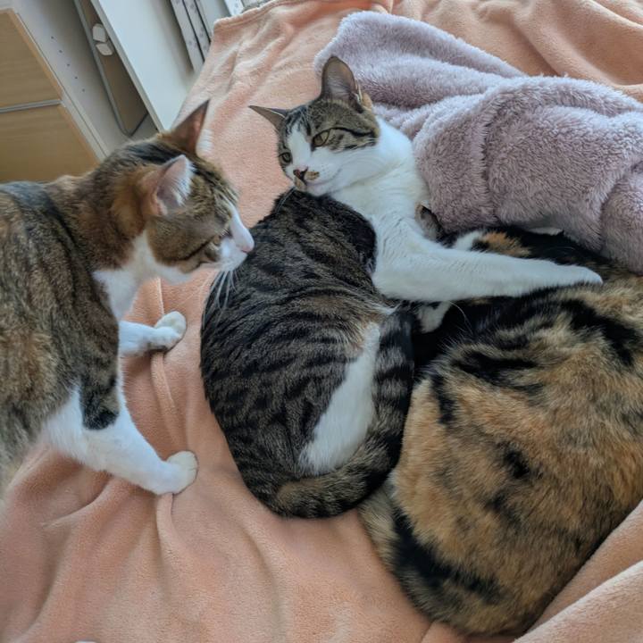 0c6f85e2 3cd4 4227 8f90 52f0d98402d0 1773906107882