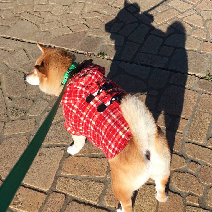 0c6fa2c4 150a 4b8c a6fe 69c0320173ac 1610067360479