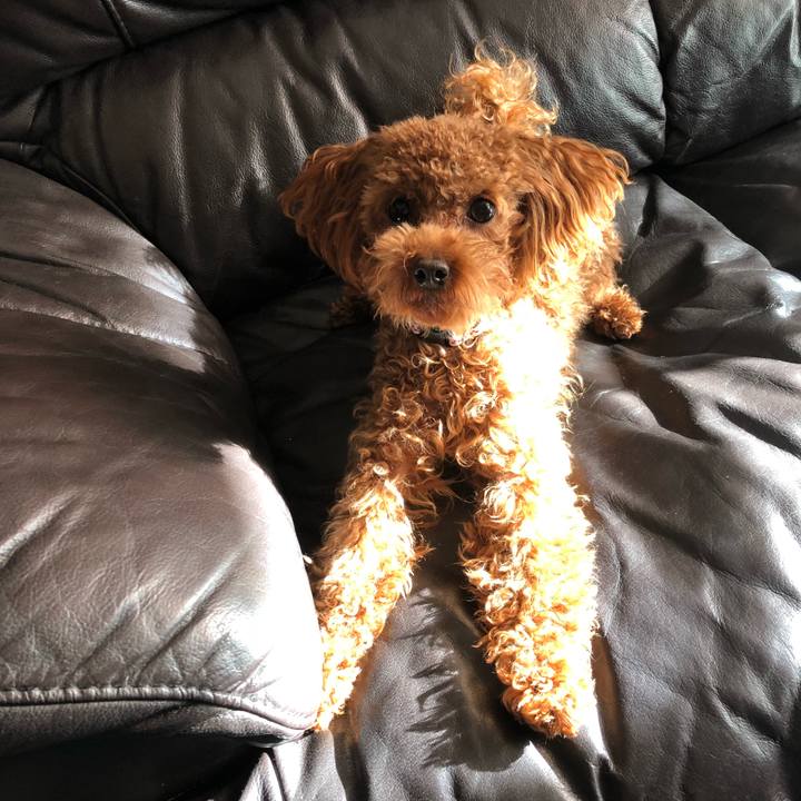 0c6fa855 b991 4e6e 9017 b26995758f2c 1512865015709