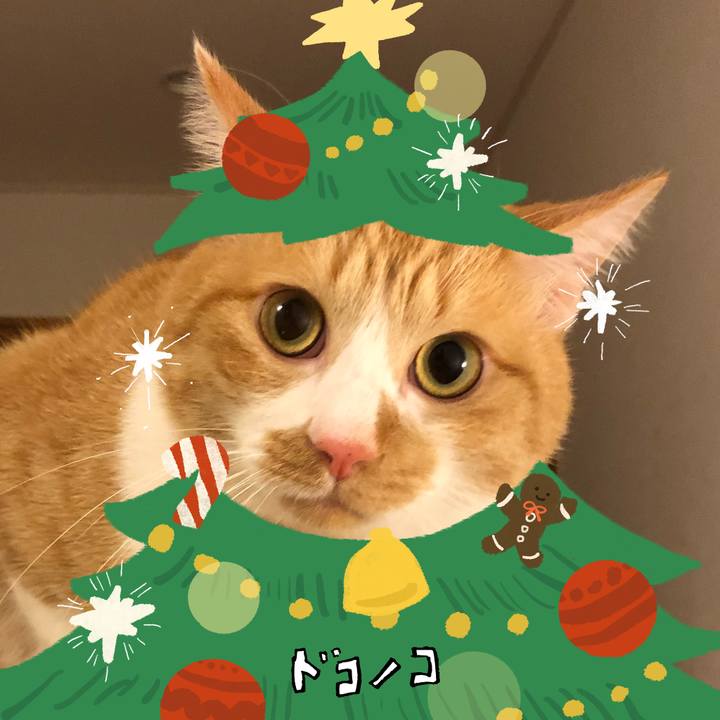 0c6faffb 03c8 46eb 9a7b 51e903cf9816 1761137301684