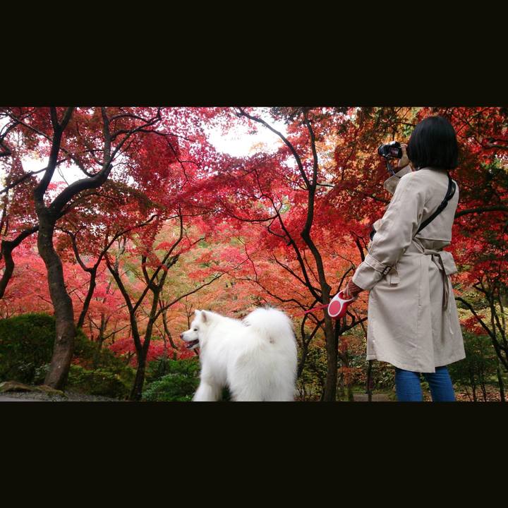 0c6fc7dc 670f 4f01 a83e c3add7d2b581 1542693234839