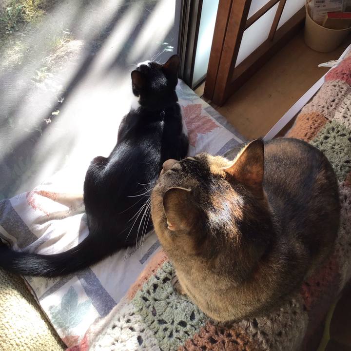 0c6ff727 a144 4b0a a78b aac5e7fd28e2 1634951727454