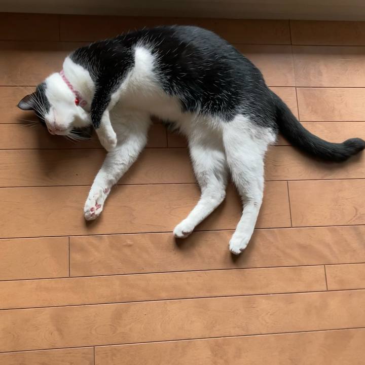 0c704b88 5cd7 42ec b866 be629fab6643 1658574953696