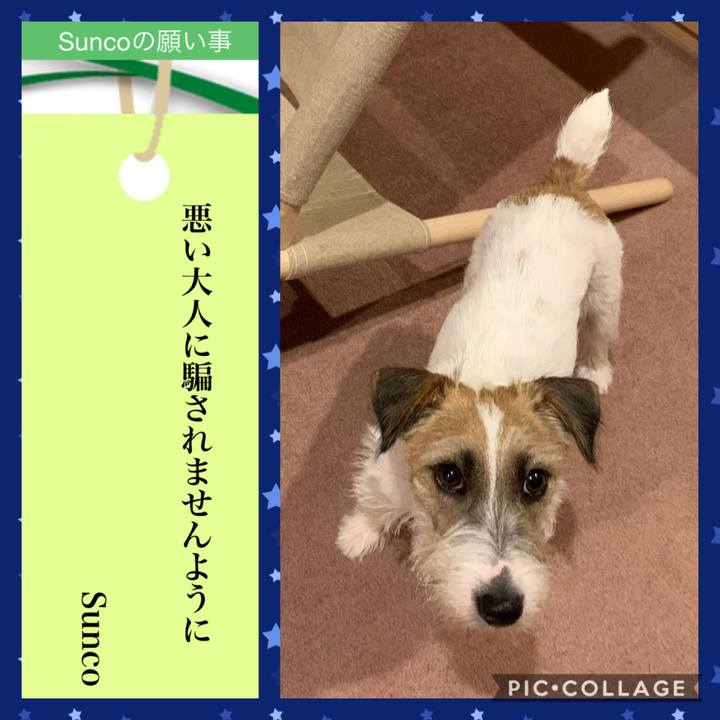 0c707152 d163 477b 8bd3 4476f3140f8b 1594121409567