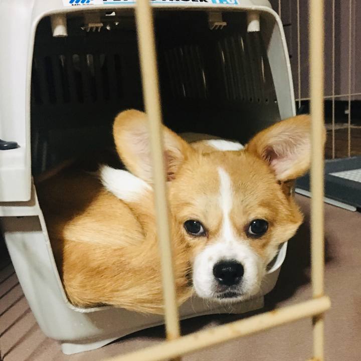 0c70a16b 8e97 41fa ad95 b7eb097302e8 1561783719319