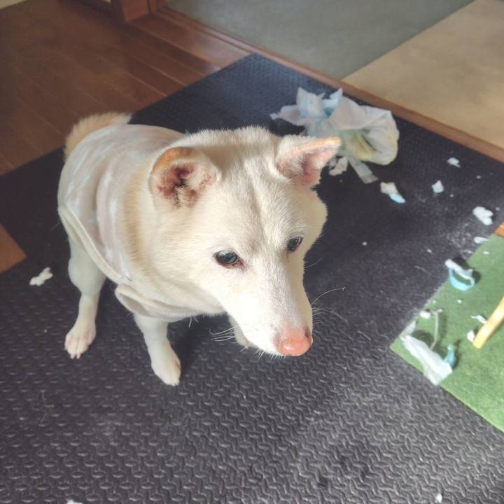 0c70a78c c532 49e1 8c5e faff56e3f122 1737508264280