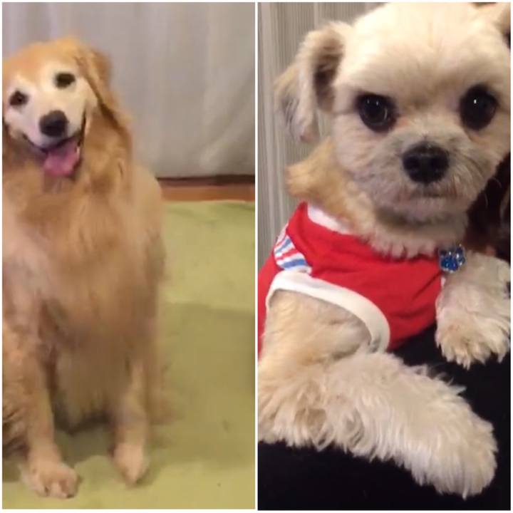 0c70ea04 4e53 47e9 8312 df7ce6e59e77 1551757873441