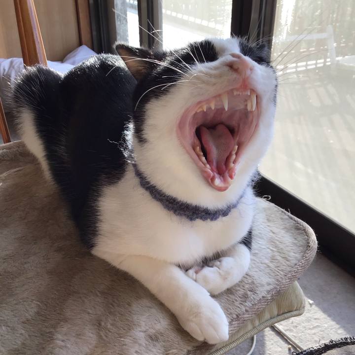 0c711f88 075e 4273 8cbc 553ad7da265d 1667093385708