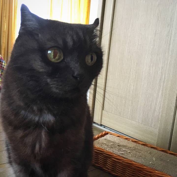 0c7137cd 3bcb 4e63 8a3d 4bd8bf0937b7 1558072164173