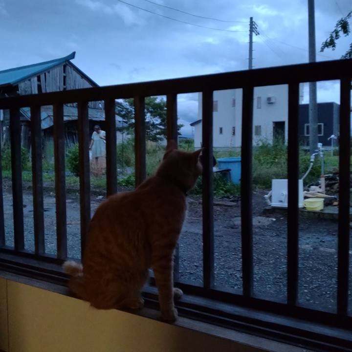 0c716542 808a 4ae5 abc0 b7e2aaf01af3 1663495683283