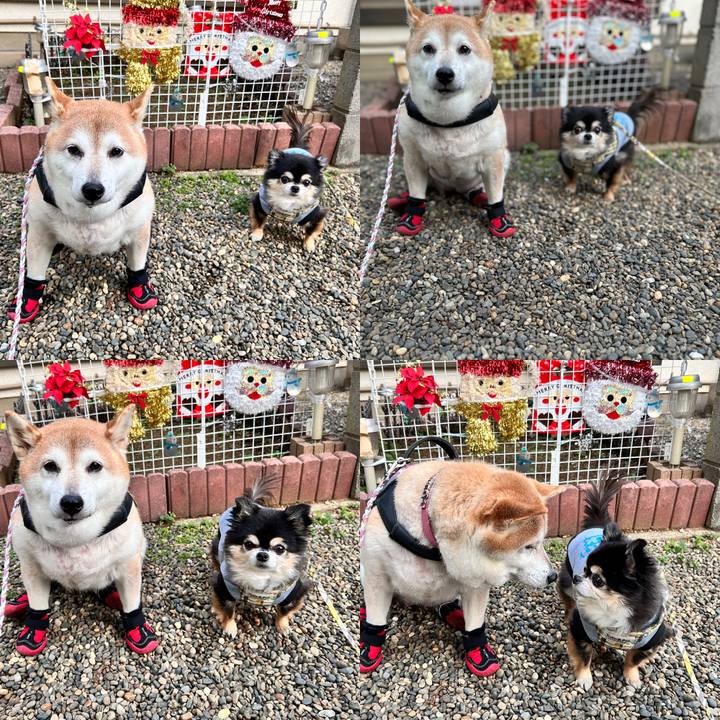 0c71773d c5b1 496e 924f eccff4a6841f 1733215380441