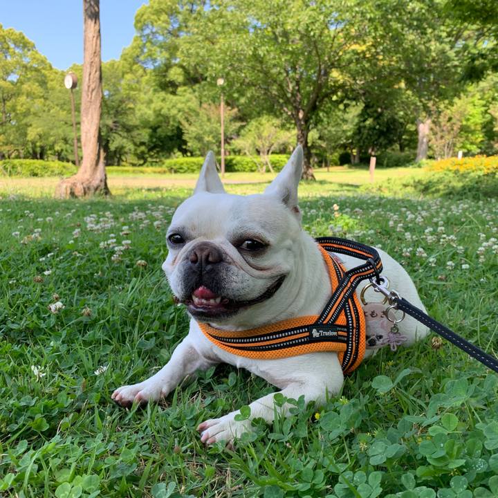 0c719689 e33a 435c 801b a119d6015a1f 1717549126575