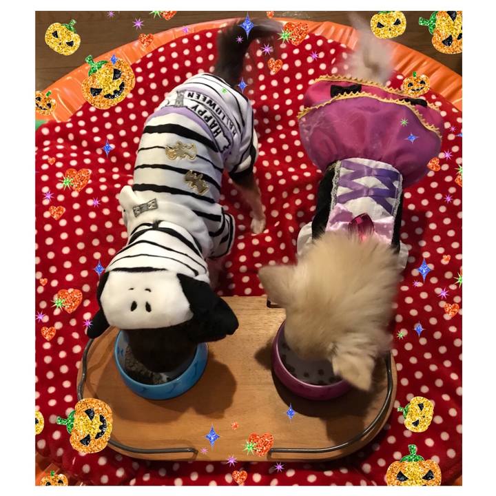 0c71bdb0 c921 4998 8b81 36f84e0b8054 1509449889234