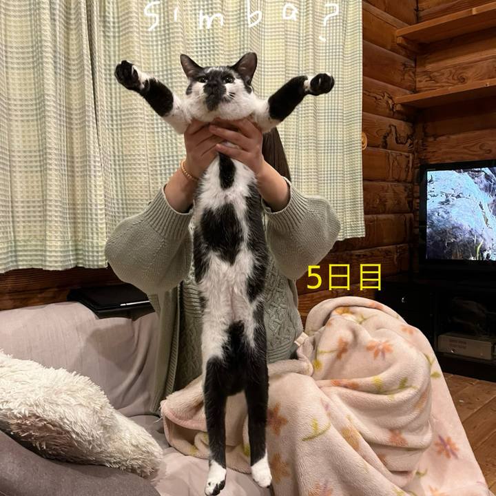 0c71ca3d cc17 4a0b b1b1 1e2635b62b54 1736123168327