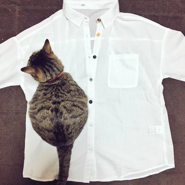 0c71ee60 f6f8 40dc 858a a740c9ba25f1 1522542453056