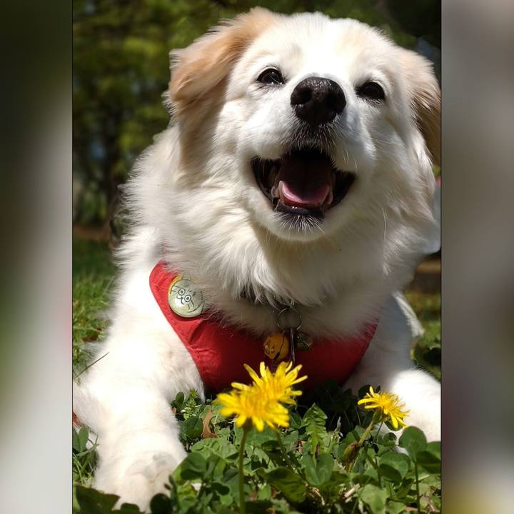 0c71f69f 403d 4a67 bd7c 9def7a9b147b 1761635510889