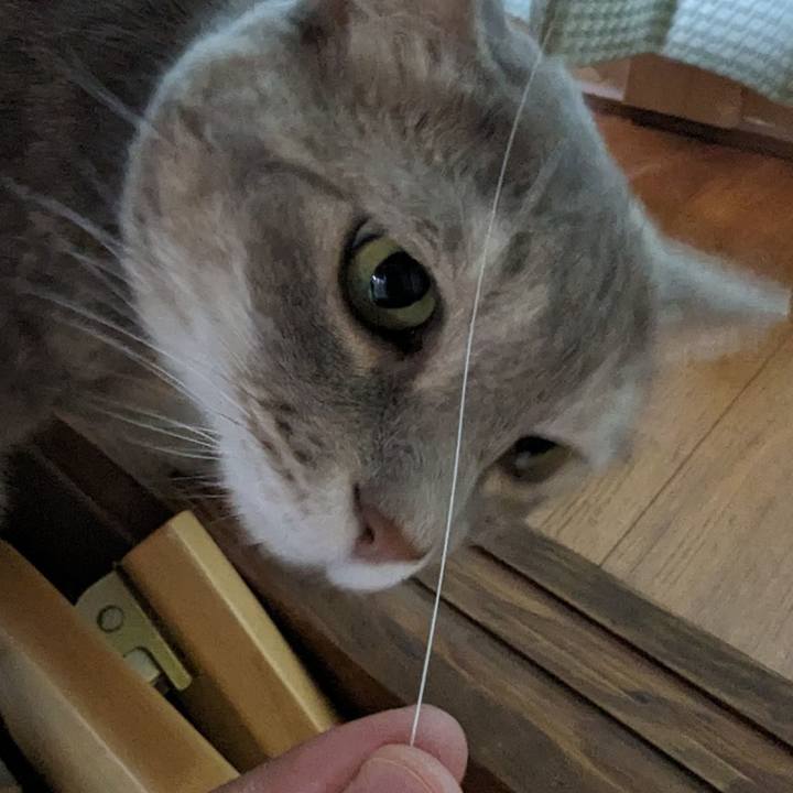 0c7201b7 37c9 4525 9060 d7b59650c4fe 1692368807155