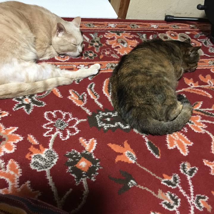 0c7201c7 b9a3 4ba2 ab7d 6bf0e46f1763 1606229900317