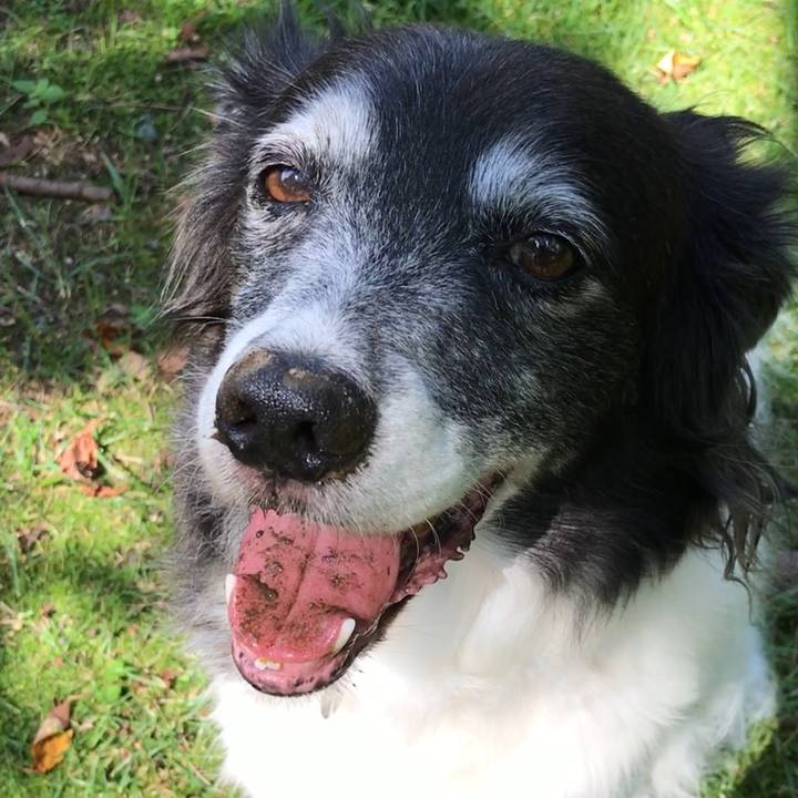 0c7242c5 ff7d 4e35 b642 a7e1c132d1b4 1535354340808