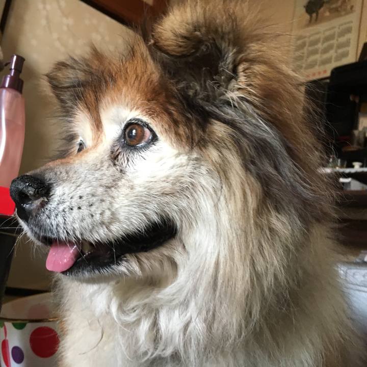 0c7262cb 2711 4f5e 81eb fed7c31a0c09 1556954540489