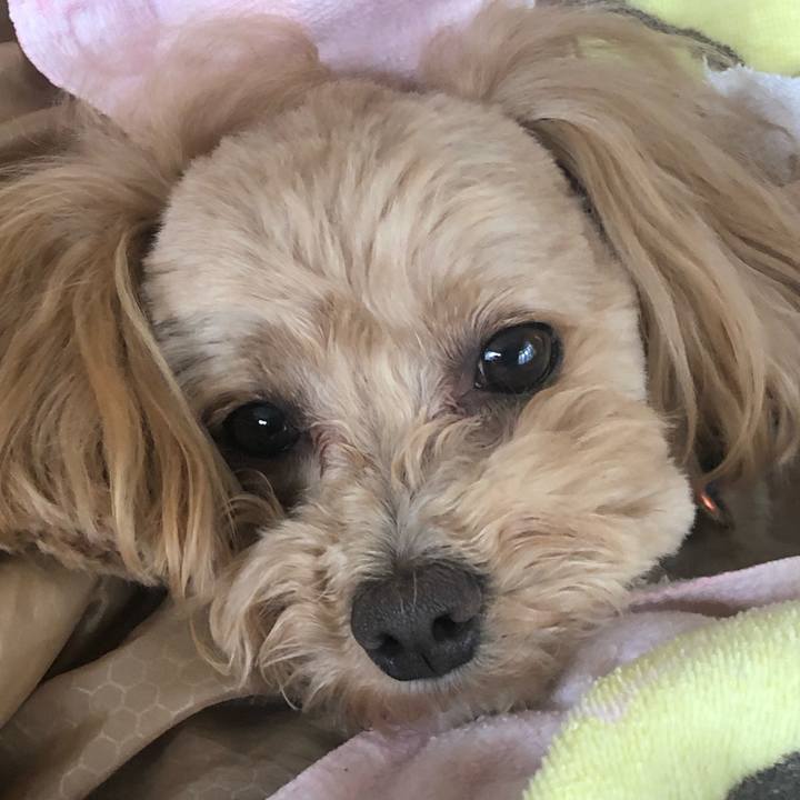 0c726b7e 3e00 4122 927a cc57b97b836f 1679371264830