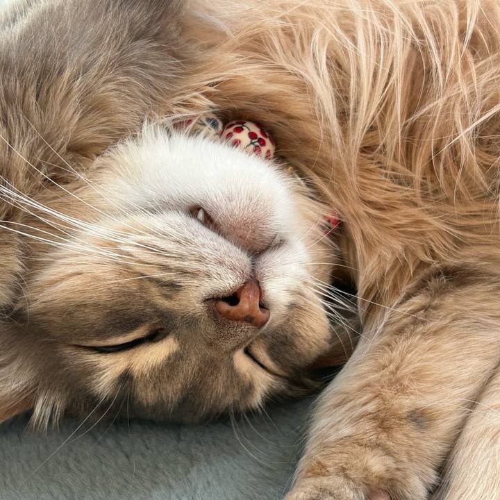 0c7279a4 fd7b 4670 b87b 121fb57b2a27 1769922225914