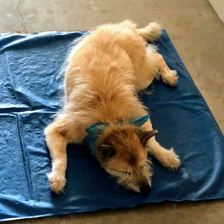 0c7285a5 e408 443f 8438 7f5660ce9415 1597889289542