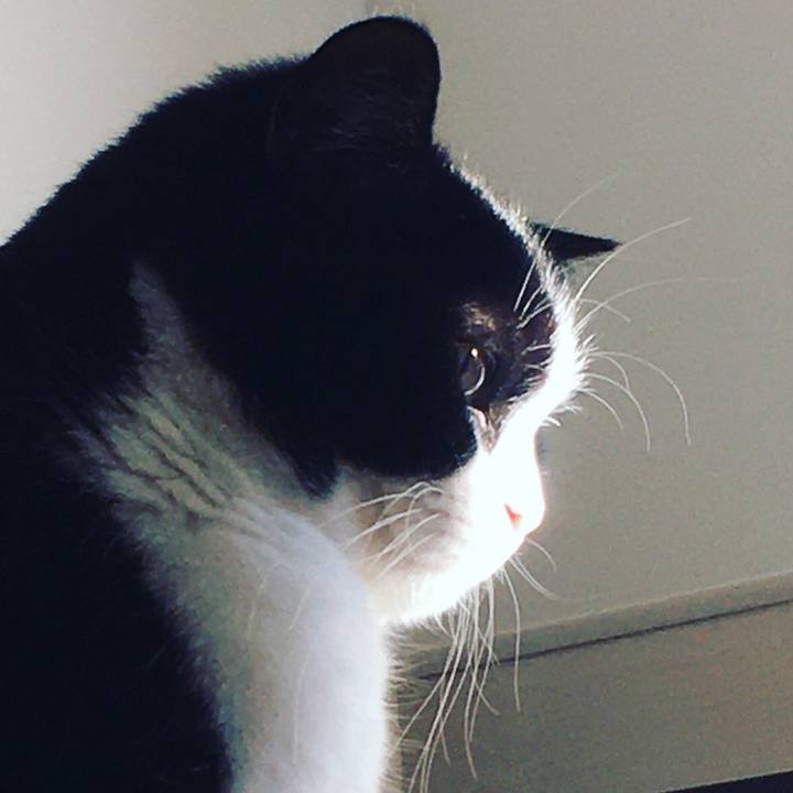 0c72e2bd 22f2 4b66 97f6 8c2fa3f8897f 1645434310965