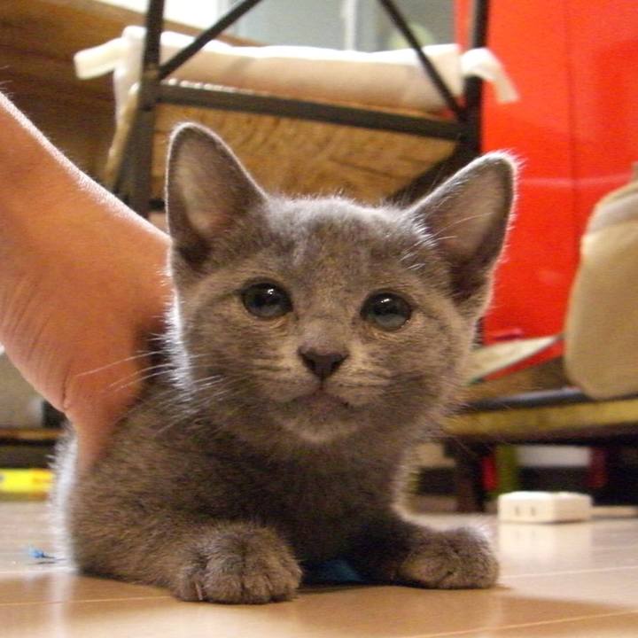 0c72f3b7 0b20 4718 a788 ab78eedbb5bb 1530797897675